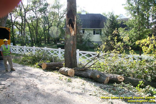 Tree cleanup in front of my house — 4½ days later