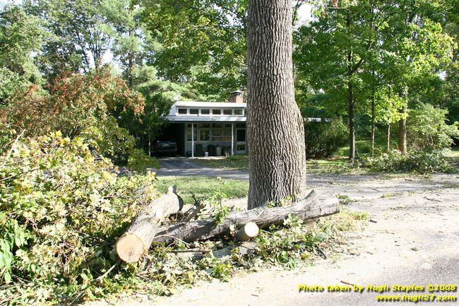 Tree cleanup in front of my house — 4½ days later